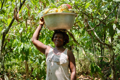 how agroforestry supports food security & diversifies income for farmers
