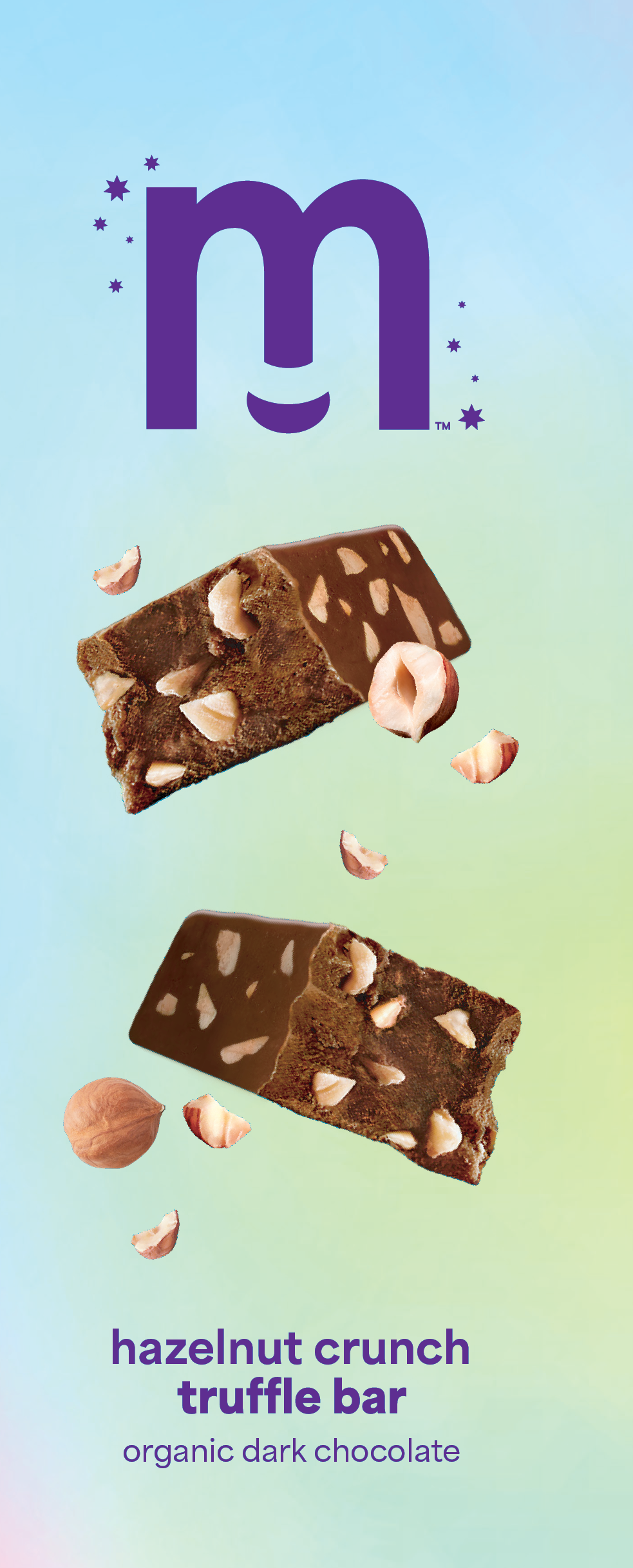 Hazelnut Crunch Truffle Bar - 4-pack