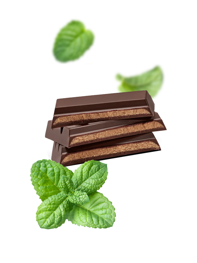 Cool Peppermint Creme 70% Dark Chocolate Bar - 6-pack