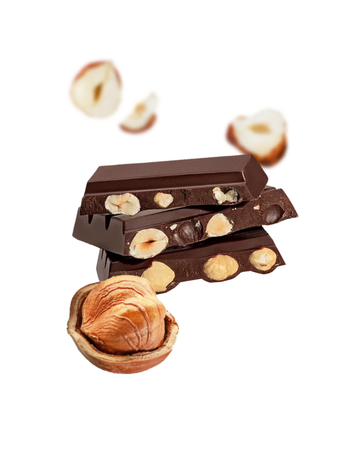 Roasted Whole Hazelnuts 70% Dark Chocolate Bar - 5-pack