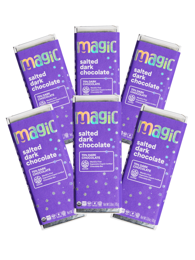 Salted Dark Chocolate Bar - 6-pack