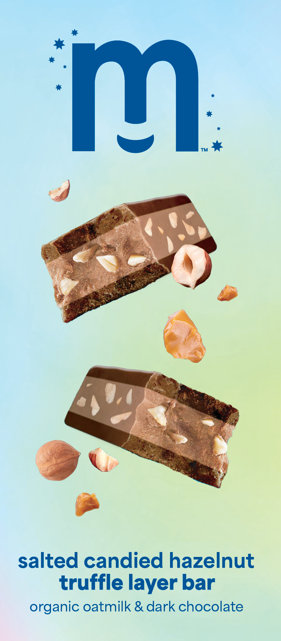 Salted Candied Hazelnut Truffle Layer Bar - 4-pack