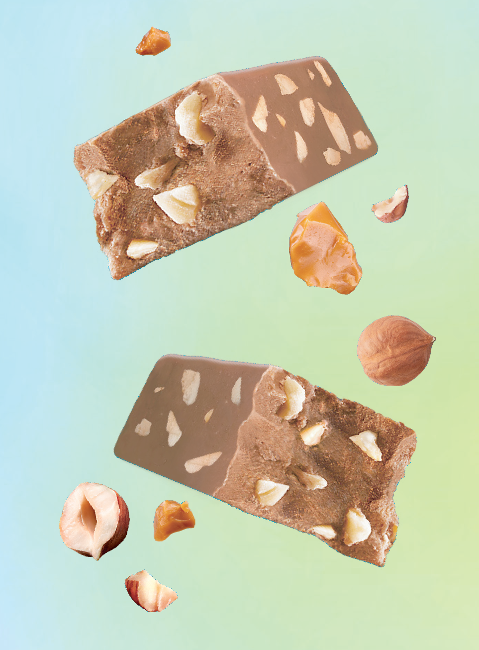 Salted Candied Hazelnut Truffle Bar - 4-pack