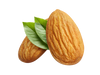 almond