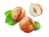 hazelnut