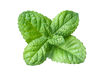 peppermint