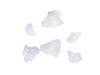 sea salt